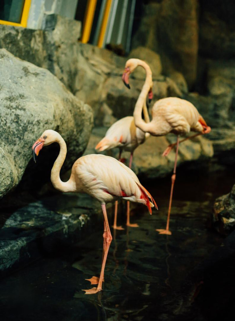 Underwater World Langkawi